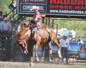 saddle bronc rider